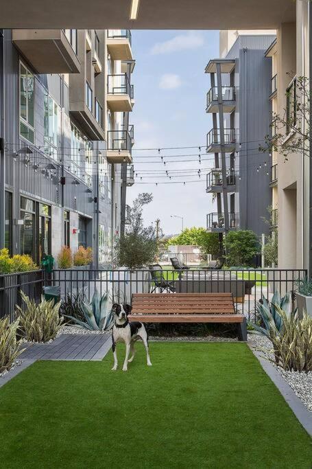 Modern And Lavish Apartment グレンデール エクステリア 写真
